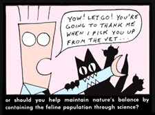 cat five