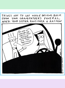 raccoon cartoon