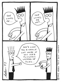 flies