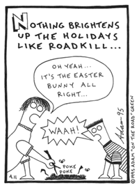roadkill